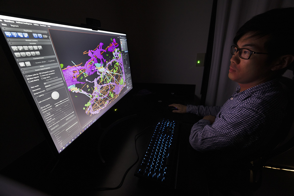 Will Giang looks at imaging on a screen in a darkened room.